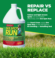 lawn care products