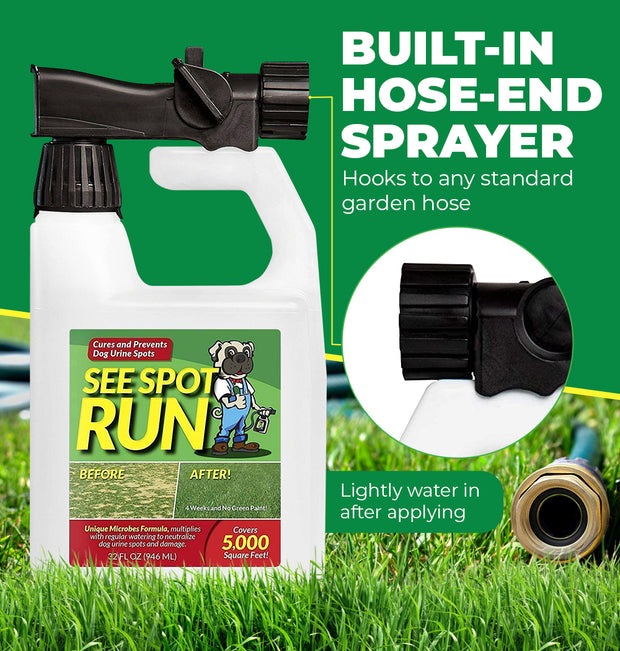 dog urine grass saver