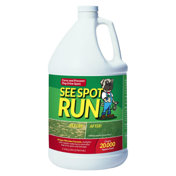 dog urine grass saver